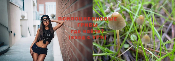 герыч Дмитриев
