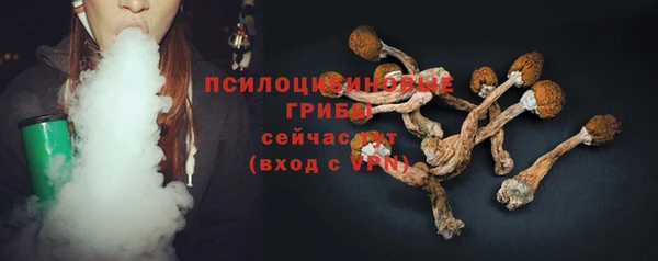 сатива Дмитровск
