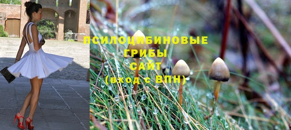 герыч Дмитриев