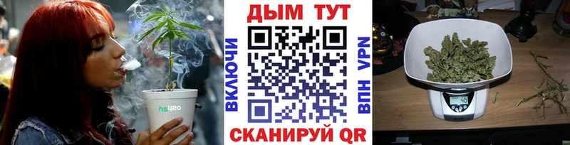 Бошки марихуана планчик купить Избербаш